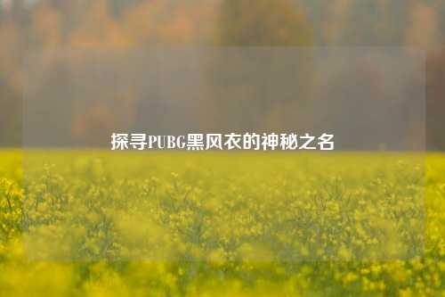 探寻PUBG黑风衣的神秘之名