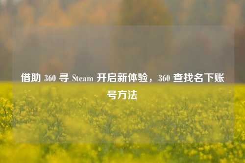 借助 360 寻 Steam 开启新体验,360 查找名下账号方法