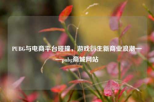 PUBG与电商平台碰撞,游戏衍生新商业浪潮——pubg商城网站