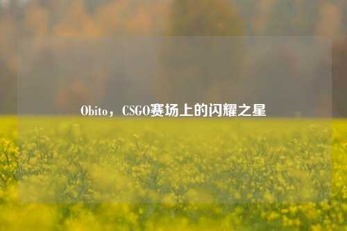 Obito,CSGO赛场上的闪耀之星