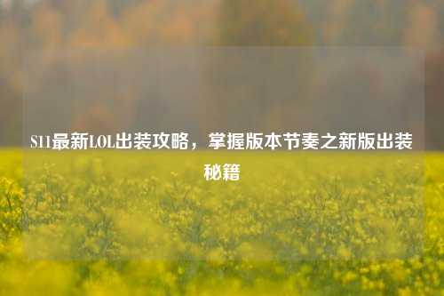 S11最新LOL出装攻略,掌握版本节奏之新版出装秘籍