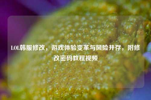 LOL韩服修改,游戏体验变革与风险并存,附修改密码教程视频