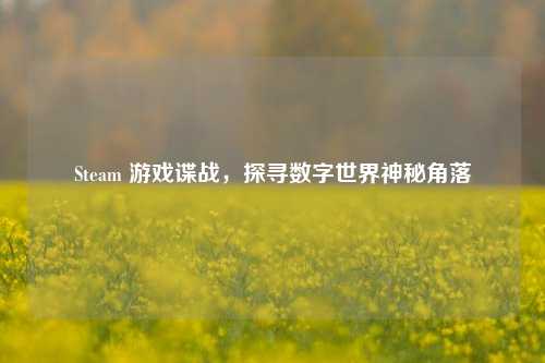 Steam 游戏谍战,探寻数字世界神秘角落