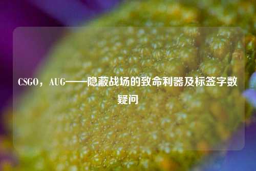 CSGO,AUG——隐蔽战场的致命利器及标签字数疑问