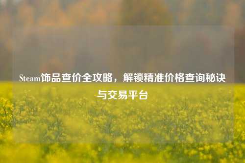 Steam饰品查价全攻略,解锁精准价格查询秘诀与交易平台