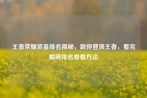 王者荣耀装备排名揭秘,助你登顶王者,看完揭晓排名查看方法