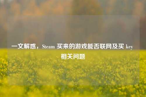 一文解惑，Steam 买来的游戏能否联网及买 key 相关问题