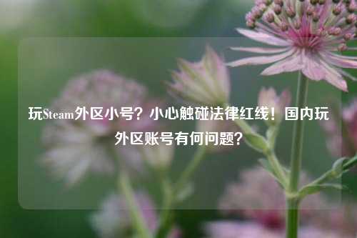 玩Steam外区小号?小心触碰法律红线!国内玩外区账号有何问题?