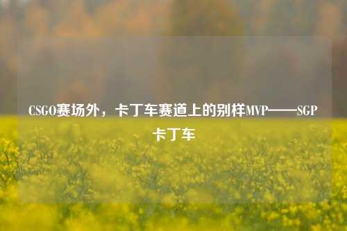 CSGO赛场外,卡丁车赛道上的别样MVP——SGP卡丁车