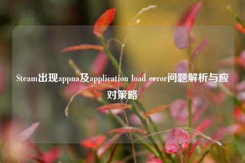 Steam出现appna及application load error问题解析与应对策略