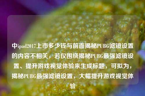 中ipad2017上市多少钱与前面揭秘PUBG滤镜设置的内容不相关,若仅围绕揭秘PUBG最强滤镜设置、提升游戏视觉体验来生成标题,可拟为,揭秘PUBG最强滤镜设置,大幅提升游戏视觉体验