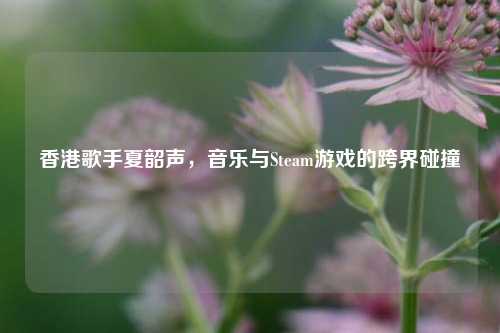 香港歌手夏韶声,音乐与Steam游戏的跨界碰撞