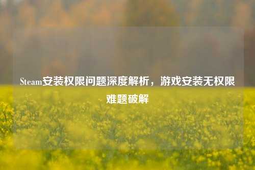 Steam安装权限问题深度解析，游戏安装无权限难题破解