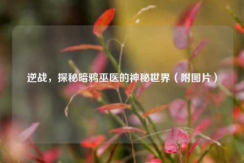 逆战，探秘暗鸦巫医的神秘世界（附图片）