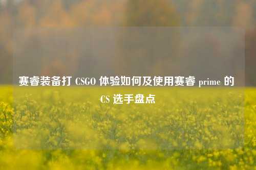 赛睿装备打 CSGO 体验如何及使用赛睿 prime 的 CS 选手盘点