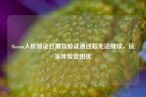 Steam人机验证过期及验证通过后无法继续,玩家体验受困扰