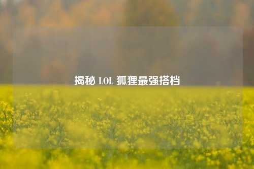 揭秘 LOL 狐狸最强搭档