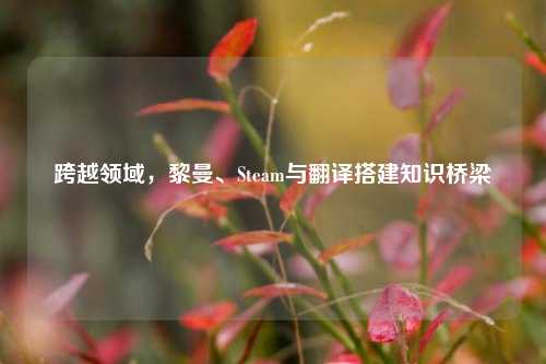 跨越领域,黎曼、Steam与翻译搭建知识桥梁