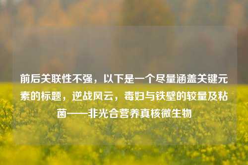 前后关联性不强，以下是一个尽量涵盖关键元素的标题，逆战风云，毒妇与铁壁的较量及粘菌——非光合营养真核微生物