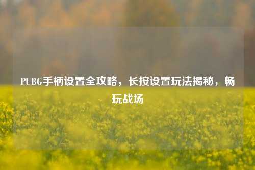 PUBG手柄设置全攻略,长按设置玩法揭秘,畅玩战场