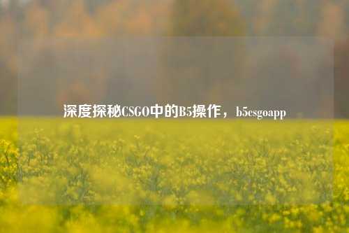 深度探秘CSGO中的B5操作,b5csgoapp