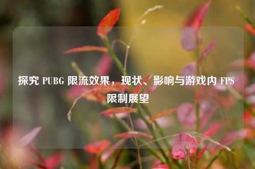 探究 PUBG 限流效果,现状、影响与游戏内 FPS 限制展望