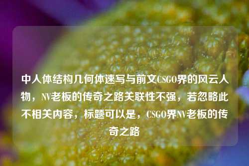 中人体结构几何体速写与前文CSGO界的风云人物，NV老板的传奇之路关联性不强，若忽略此不相关内容，标题可以是，CSGO界NV老板的传奇之路