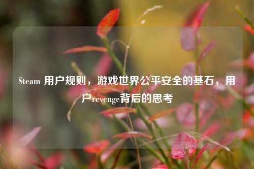 Steam 用户规则，游戏世界公平安全的基石，用户revenge背后的思考