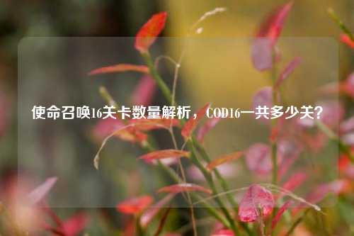使命召唤16关卡数量解析，COD16一共多少关？