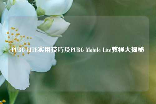 PUBG LITE实用技巧及PUBG Mobile Lite教程大揭秘