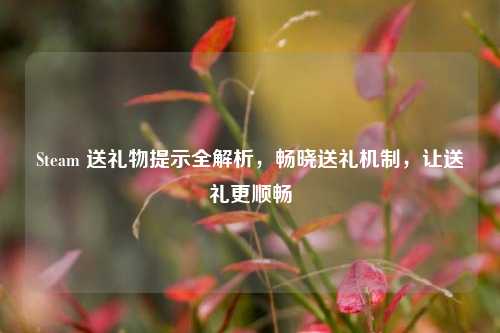 Steam 送礼物提示全解析,畅晓送礼机制,让送礼更顺畅