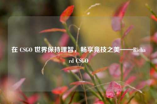 在 CSGO 世界保持理智,畅享竞技之美——Richard CSGO