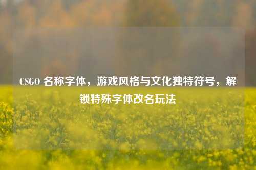CSGO 名称字体,游戏风格与文化独特符号,解锁特殊字体改名玩法
