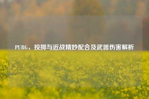 PUBG,投掷与近战精妙配合及武器伤害解析