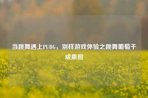 当跳舞遇上PUBG，别样游戏体验之跳舞葡萄干成果照