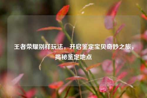 王者荣耀别样玩法，开启鉴定宝贝奇妙之旅，揭秘鉴定地点