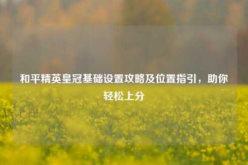 和平精英皇冠基础设置攻略及位置指引,助你轻松上分