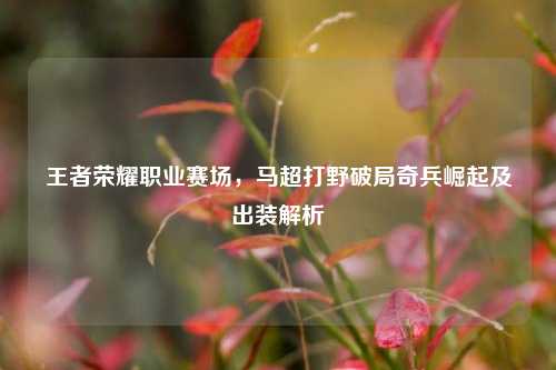 王者荣耀职业赛场,马超打野破局奇兵崛起及出装解析