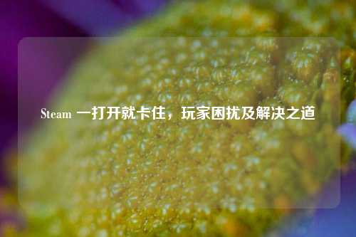 Steam 一打开就卡住，玩家困扰及解决之道