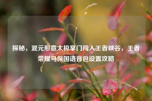 探秘，混元形意太极掌门闯入王者峡谷，王者荣耀马保国语音包设置攻略