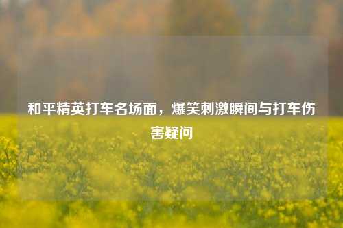 和平精英打车名场面,爆笑刺激瞬间与打车伤害疑问