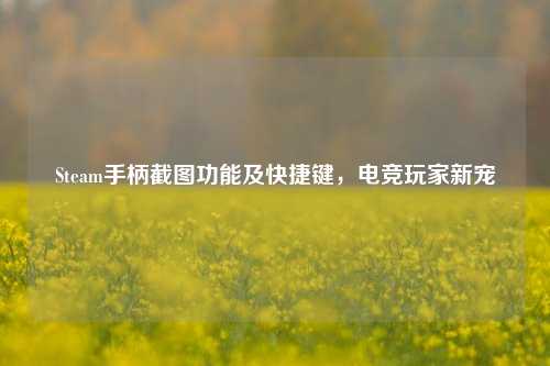 Steam手柄截图功能及快捷键,电竞玩家新宠