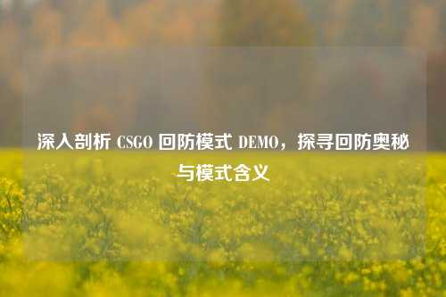 深入剖析 CSGO 回防模式 DEMO,探寻回防奥秘与模式含义
