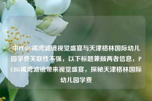 中PUBG褐湾滤镜视觉盛宴与天津格林国际幼儿园学费关联性不强,以下标题兼顾两者信息,PUBG褐湾滤镜带来视觉盛宴,探秘天津格林国际幼儿园学费