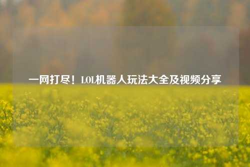 一网打尽！LOL机器人玩法大全及视频分享