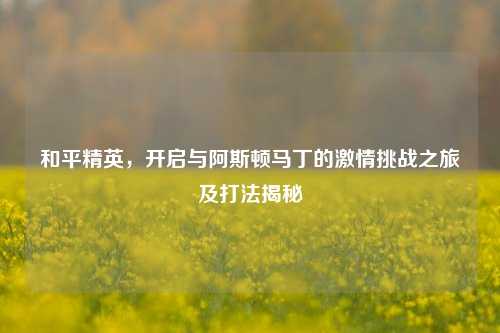 和平精英,开启与阿斯顿马丁的激情挑战之旅及打法揭秘