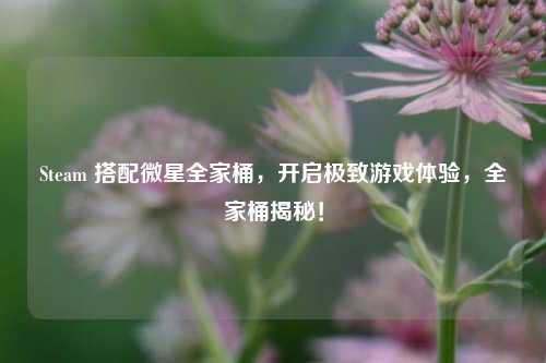 Steam 搭配微星全家桶,开启极致游戏体验,全家桶揭秘!