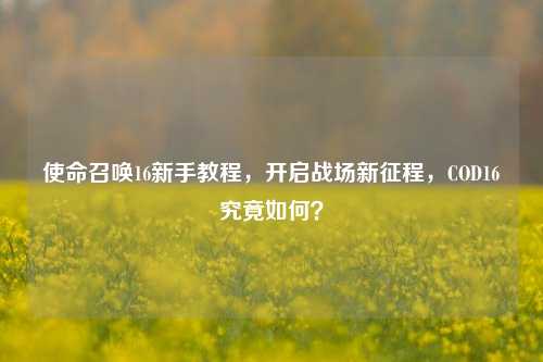 使命召唤16新手教程，开启战场新征程，COD16究竟如何？