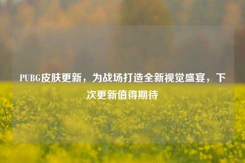 PUBG皮肤更新,为战场打造全新视觉盛宴,下次更新值得期待