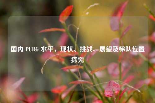 国内 PUBG 水平,现状、挑战、展望及梯队位置探究
